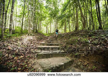 Stock Photo - Rear view of young male hiking in forest, Koh Pha Ngan, Thailand. Fotosearch