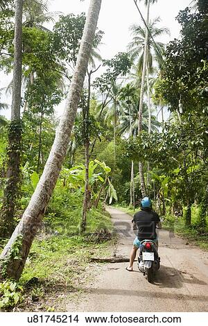 Rear view of young man riding scooter on an unpaved road, Koh Pha Ngan, Thailand View Large Photo Image Picture - Rear view of young man riding scooter on an unpaved road, Koh Pha Ngan, Thailand. Fotosearch