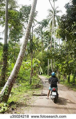 Rear view of young man riding scooter on an unpaved road, Koh Pha Ngan, Thailand View Large Photo Image Stock Photo - Rear view of young man riding scooter on an unpaved road, Koh Pha Ngan, Thailand. Fotosearch