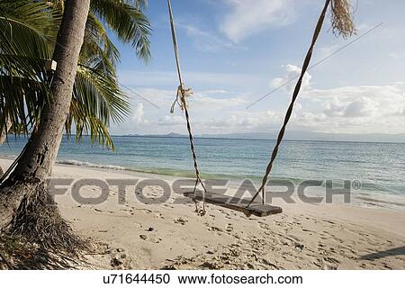 Rope swing on beach, Koh Pha Ngan, Thailand View Large Photo Image Stock Image - Rope swing on beach, Koh Pha Ngan, Thailand. Fotosearch