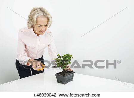 Stock Image - Senior businesswoman pruning plant at desk in office. Fotosearch