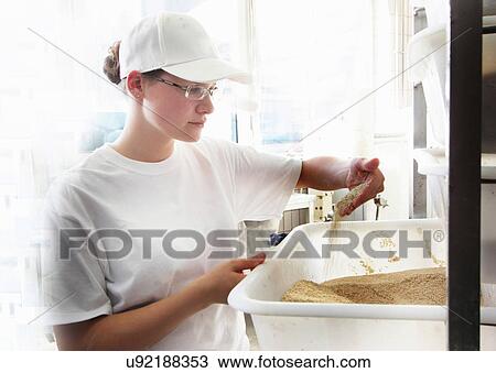 Stock Image - Baker looking at grain. Fotosearch