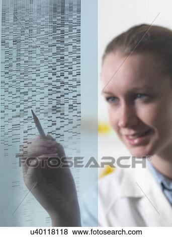 Female researcher examining DNA autoradiogram gel in laboratory View Large Photo Image Stock Photo - Female researcher examining DNA autoradiogram gel in laboratory. Fotosearch