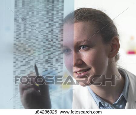 Female researcher examining DNA autoradiogram gel in laboratory View Large Photo Image Stock Photography - Female researcher examining DNA autoradiogram gel in laboratory. Fotosearch