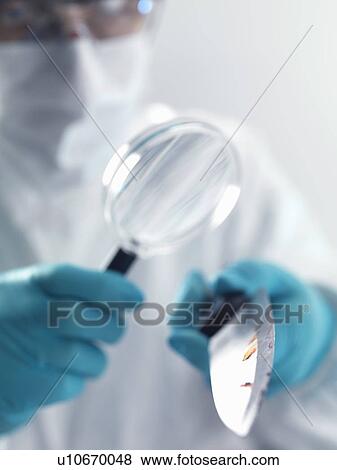 Stock Photo - Forensic investigation of knife from crime scene. Fotosearch