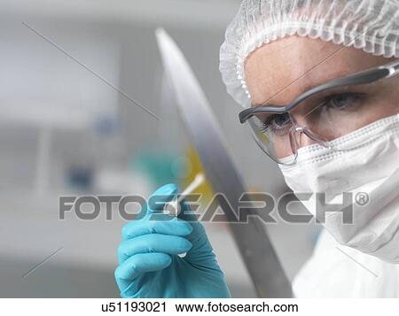 Stock Image - Forensic scientist in laboratory taking DNA evidence with a swab for crime investigation. Fotosearch