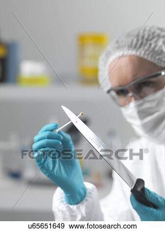 Stock Photo - Forensic scientist in laboratory taking DNA evidence with a swab for crime investigation. Fotosearch