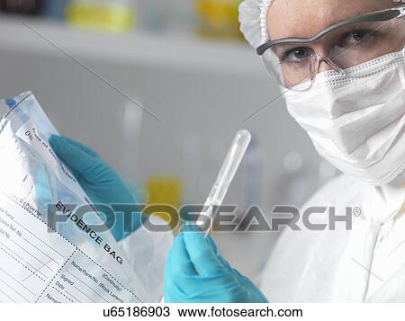 Forensic scientist in laboratory with evidence bag and swab for crime investigation View Large Photo Image Stock Image - Forensic scientist in laboratory with evidence bag and swab for crime investigation. Fotosearch