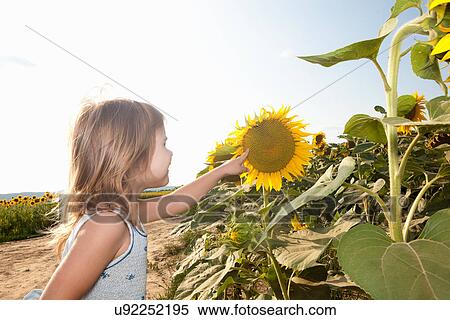 Stock Photography - Girl pointing to sunflower. Fotosearch