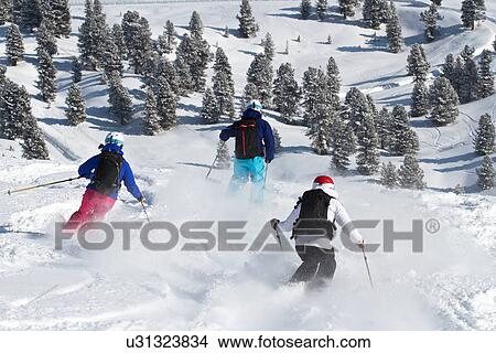 Picture - Group of friends skiing in powder snow in Kuhtai, Austria. Fotosearch