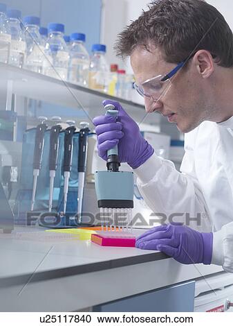Male researcher using multi pipette in lab View Large Photo Image Stock Image - Male researcher using multi pipette in lab. Fotosearch