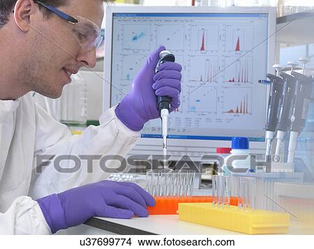 Picture - Male scientist pipetting sample into test tubes for analysis of cell population. Fotosearch