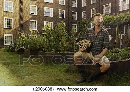 Mid adult man on council estate allotment with bowl of potatoes View Large Photo Image Stock Photo - Mid adult man on council estate allotment with bowl of potatoes. Fotosearch