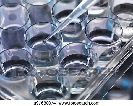 Picture - Pipetting sample into a multiwell sample tray. Fotosearch