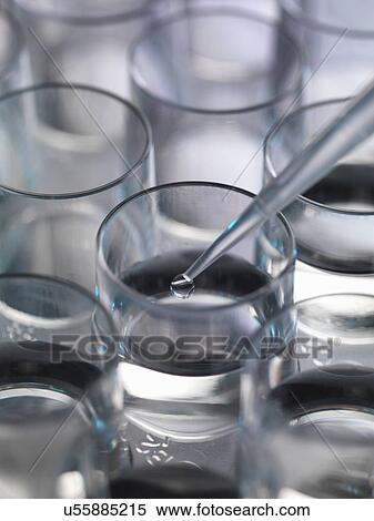 Stock Photography - Pipetting sample into a multiwell sample tray. Fotosearch