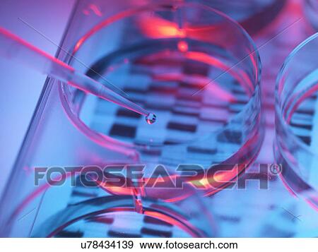 Stock Photo - Pipetting sample into tray for DNA testing. Fotosearch