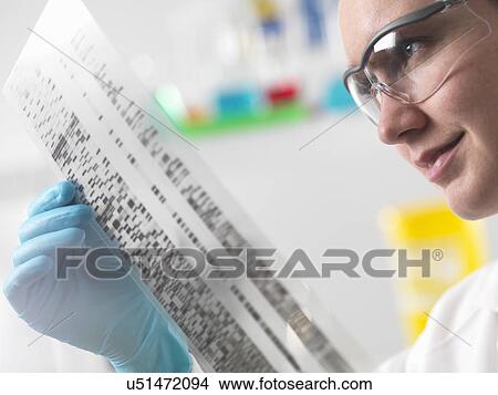Picture - Scientist holding DNA autoradiogram in laboratory. Fotosearch