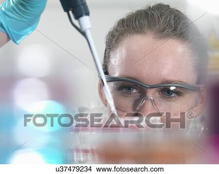 Scientist pipetting stem cell cultures into tray for pharmaceutical research View Large Photo Image Picture - Scientist pipetting stem cell cultures into tray for pharmaceutical research. Fotosearch