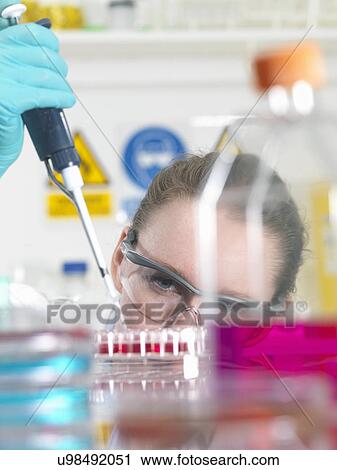 Scientist pipetting stem cell cultures into tray for pharmaceutical research View Large Photo Image Stock Image - Scientist pipetting stem cell cultures into tray for pharmaceutical research. Fotosearch