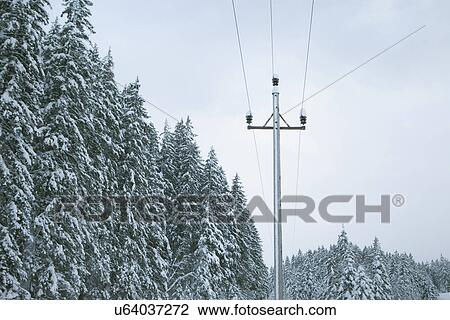 Snow covered trees and telegraph pole, Alps, Austria View Large Photo Image Stock Image - Snow covered trees and telegraph pole, Alps, Austria. Fotosearch