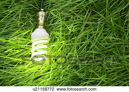 Stock Image - Still life of energy saving lightbulb on grass. Fotosearch