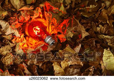Stock Image - Still life of red lightbulb on autumn leaves. Fotosearch