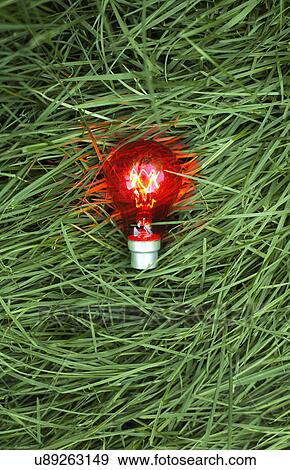 Still life of red lightbulb on grass View Large Photo Image Stock Photo - Still life of red lightbulb on grass. Fotosearch