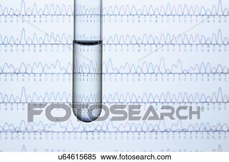 Stock Photography - Test tube containing liquid with computer monitor displaying results of automated DNA sequencing. Fotosearch