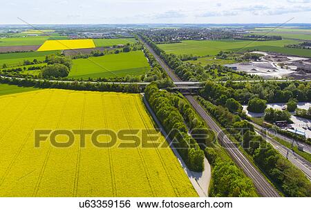 Stock Photograph - View of roads and oil seed rape fields, Munich, Bavaria, Germany. Fotosearch