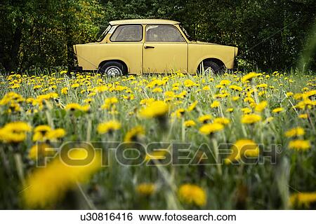 Stock Photograph - Vintage yellow car in field. Fotosearch