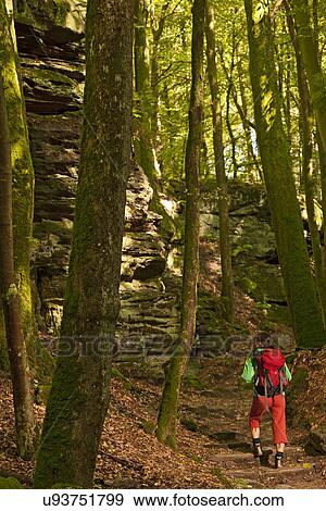 Stock Photo - Woman hiking in sunlit forest, Berndorf, Luxembourg. Fotosearch