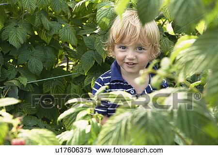 Young boy playing in garden View Large Photo Image Stock Photography - Young boy playing in garden. Fotosearch