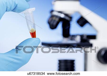 Biological research View Large Photo Image Picture - Biological research. Fotosearch