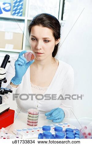 Picture - Biological research. Fotosearch