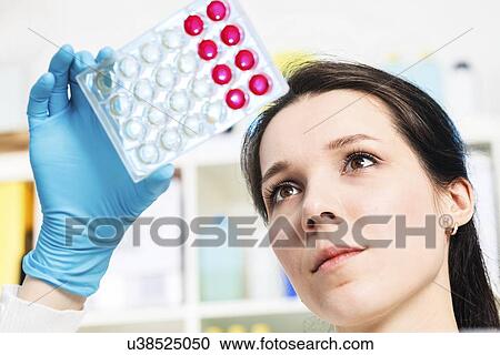 Biological research View Large Photo Image Stock Image - Biological research. Fotosearch
