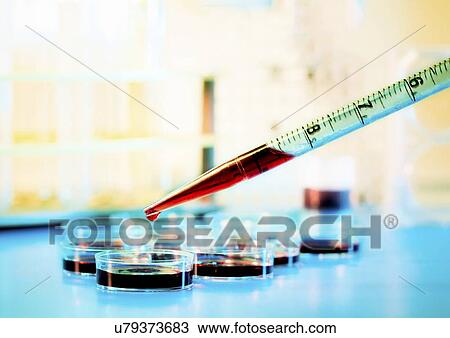 Stock Image - Biological research. Fotosearch