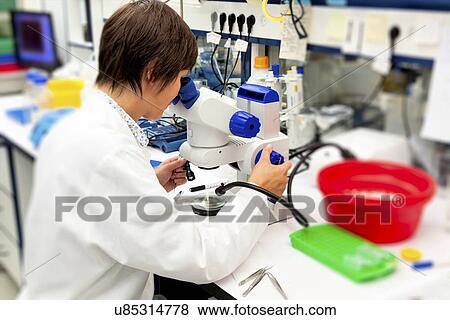 Biological research View Large Photo Image Stock Photo - Biological research. Fotosearch