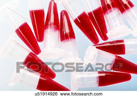 Biological samples View Large Photo Image Stock Photograph - Biological samples. Fotosearch