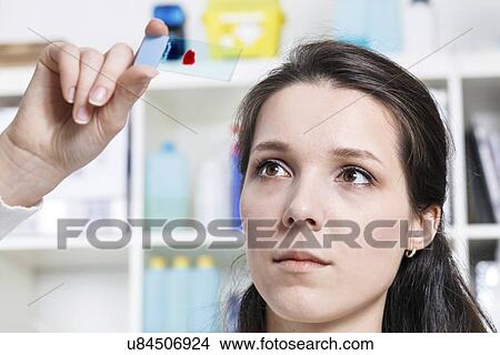 Picture - Blood smear. Fotosearch