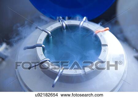 Egg storage for IVF View Large Photo Image Picture - Egg storage for IVF. Fotosearch