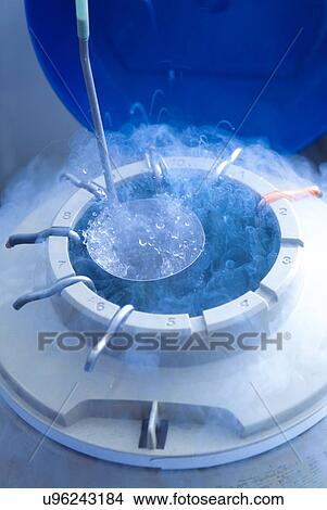 Picture - Egg storage for IVF. Fotosearch