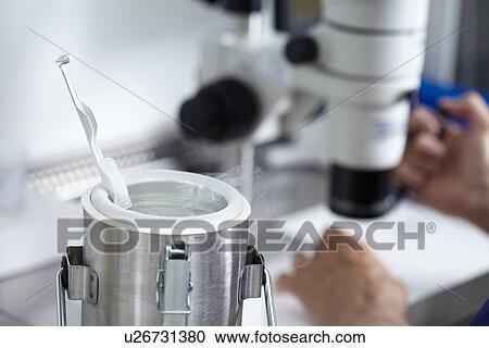 Stock Image - Egg storage for IVF. Fotosearch