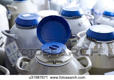 Stock Image - Egg storage for IVF. Fotosearch