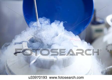 Stock Image - Egg storage for IVF. Fotosearch