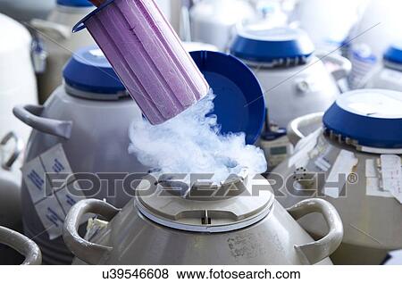 Stock Photo - Egg storage for IVF. Fotosearch