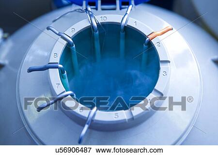Egg storage for IVF View Large Photo Image Stock Photo - Egg storage for IVF. Fotosearch