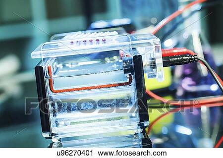 Stock Image - Gel electrophoresis. Fotosearch