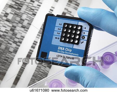 Stock Image - Genetics research. Fotosearch