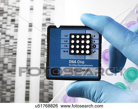 Stock Photograph - Genetics research. Fotosearch