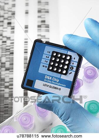 Stock Photography - Genetics research. Fotosearch